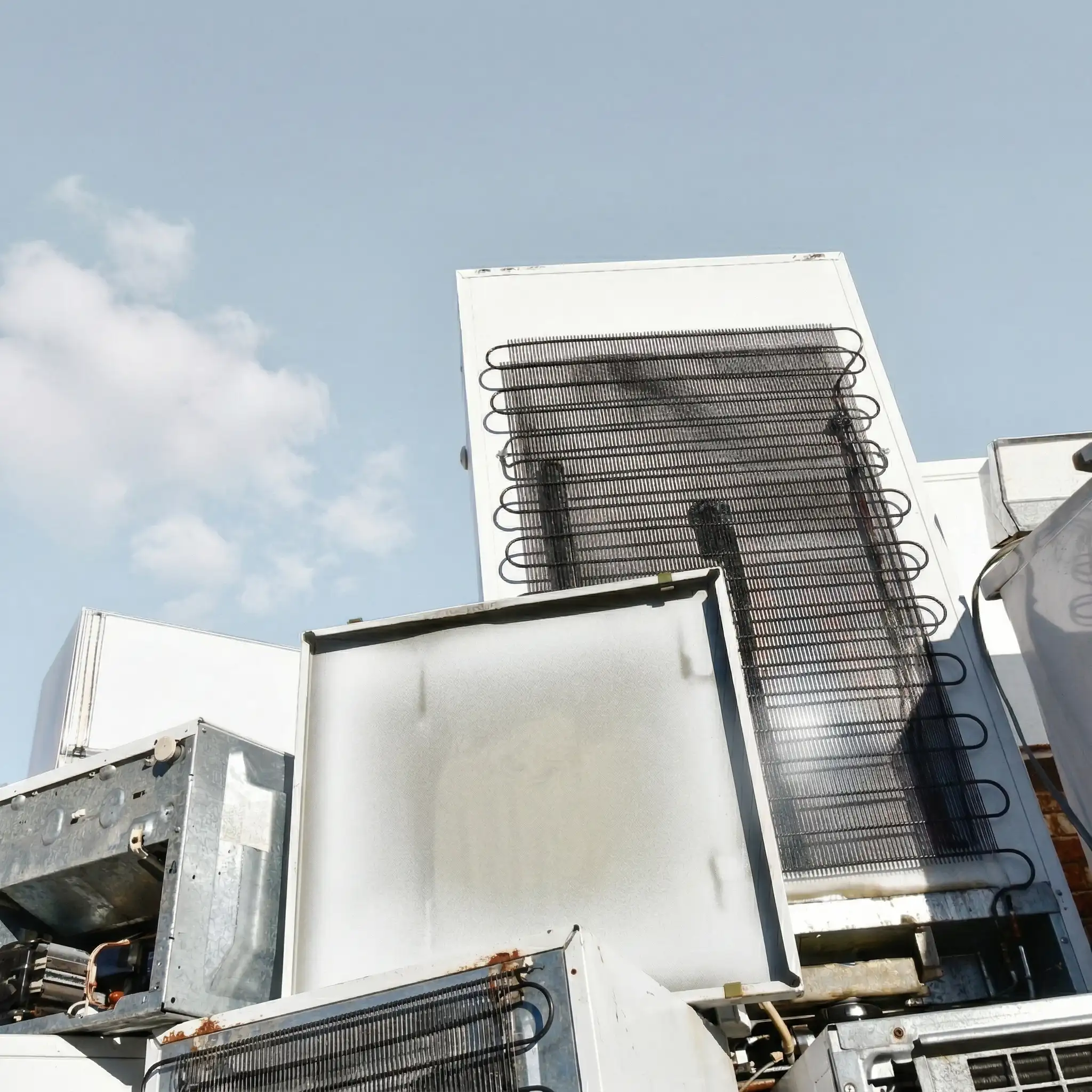 Professional fridge disposal