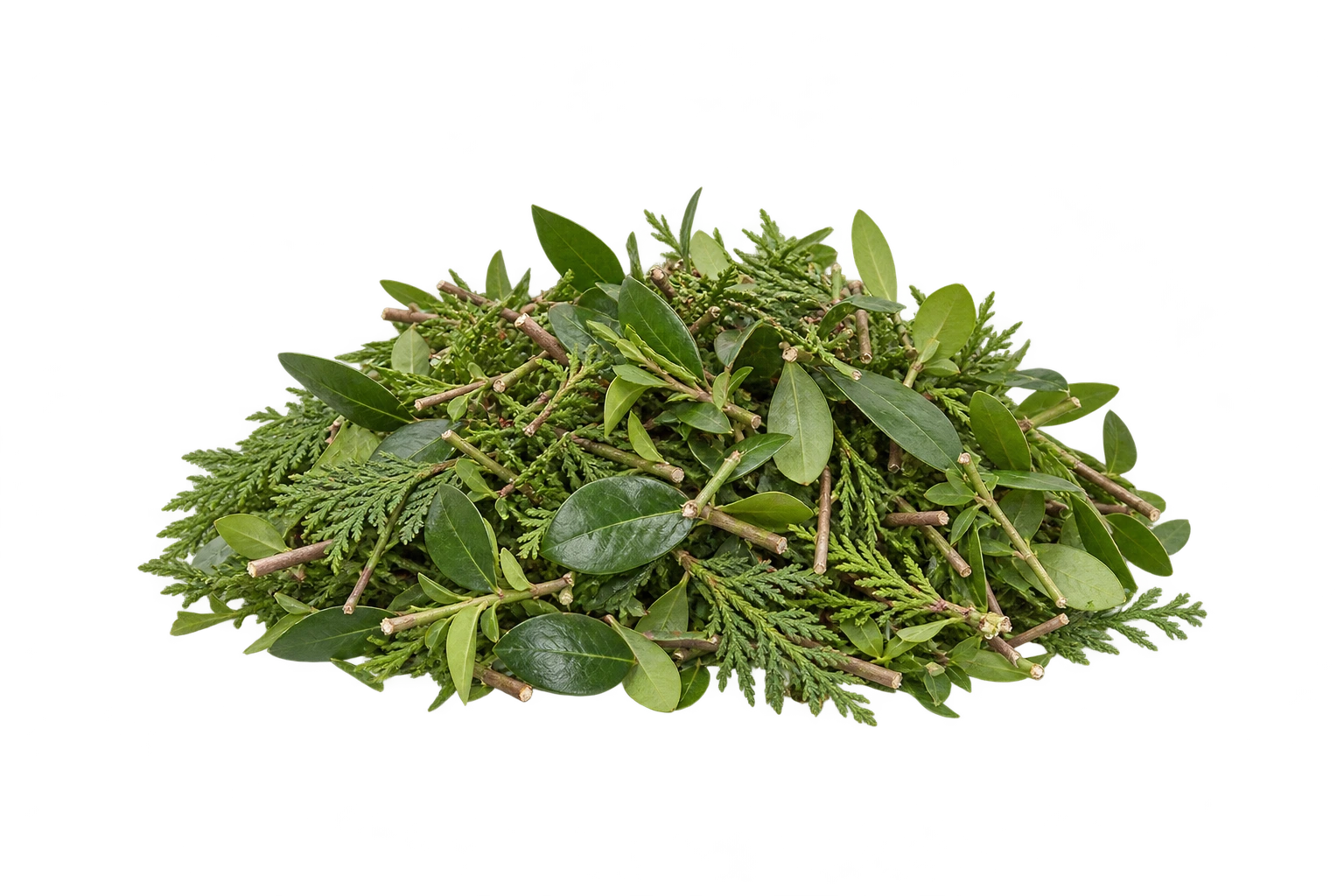 Cuttings and branches